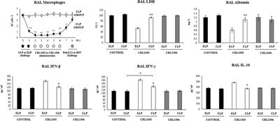 Alveolar Macrophages Are Key Players in the Modulation of the Respiratory Antiviral Immunity Induced by Orally Administered Lacticaseibacillus rhamnosus CRL1505